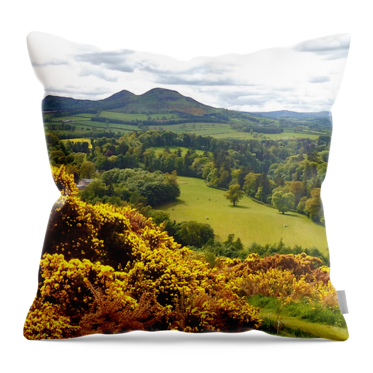 Eildon Hill Throw Pillow featuring the photograph Eildon Hill - three peaks and a valley by Elena Perelman