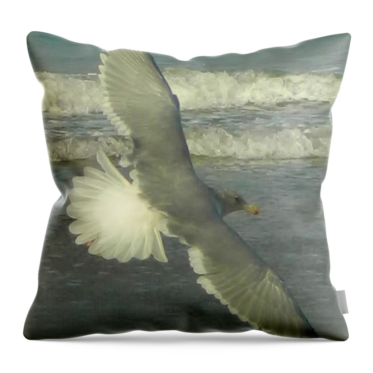 Seagulls Throw Pillow featuring the photograph Elegance by Gallery Of Hope 
