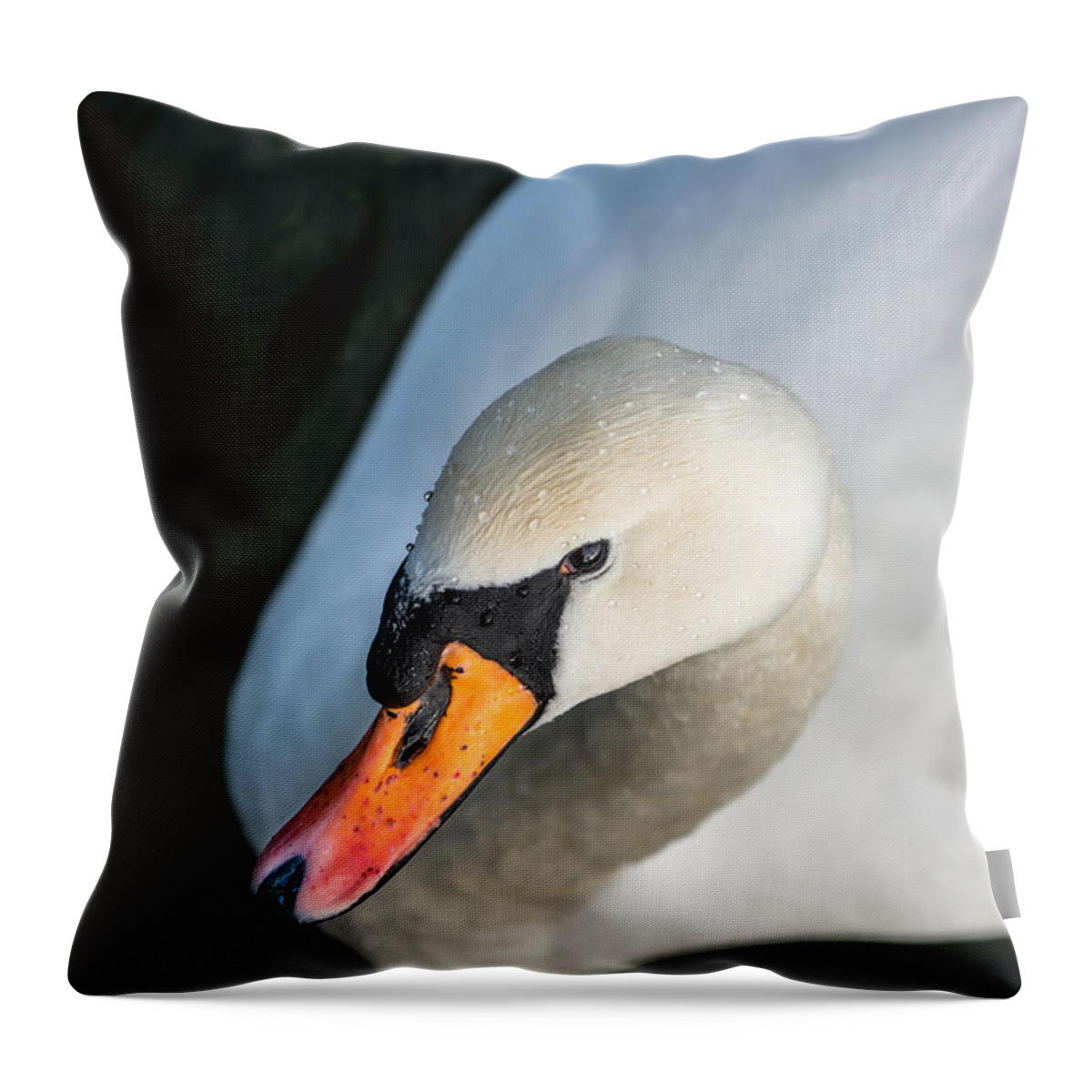 Swan Throw Pillow featuring the photograph Elegant Swan by Andreas Berthold