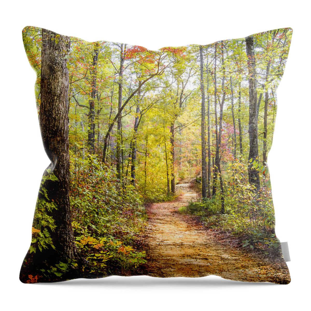 Appalachia Throw Pillow featuring the photograph Elfin Forest by Debra and Dave Vanderlaan