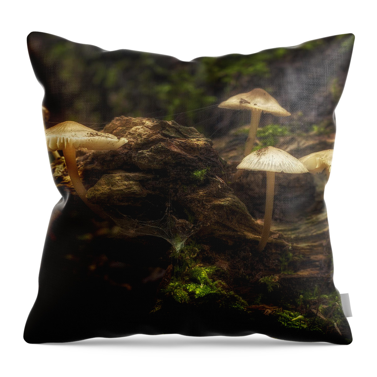 Mushrooms Throw Pillow featuring the photograph Enchanted Forest by Scott Norris
