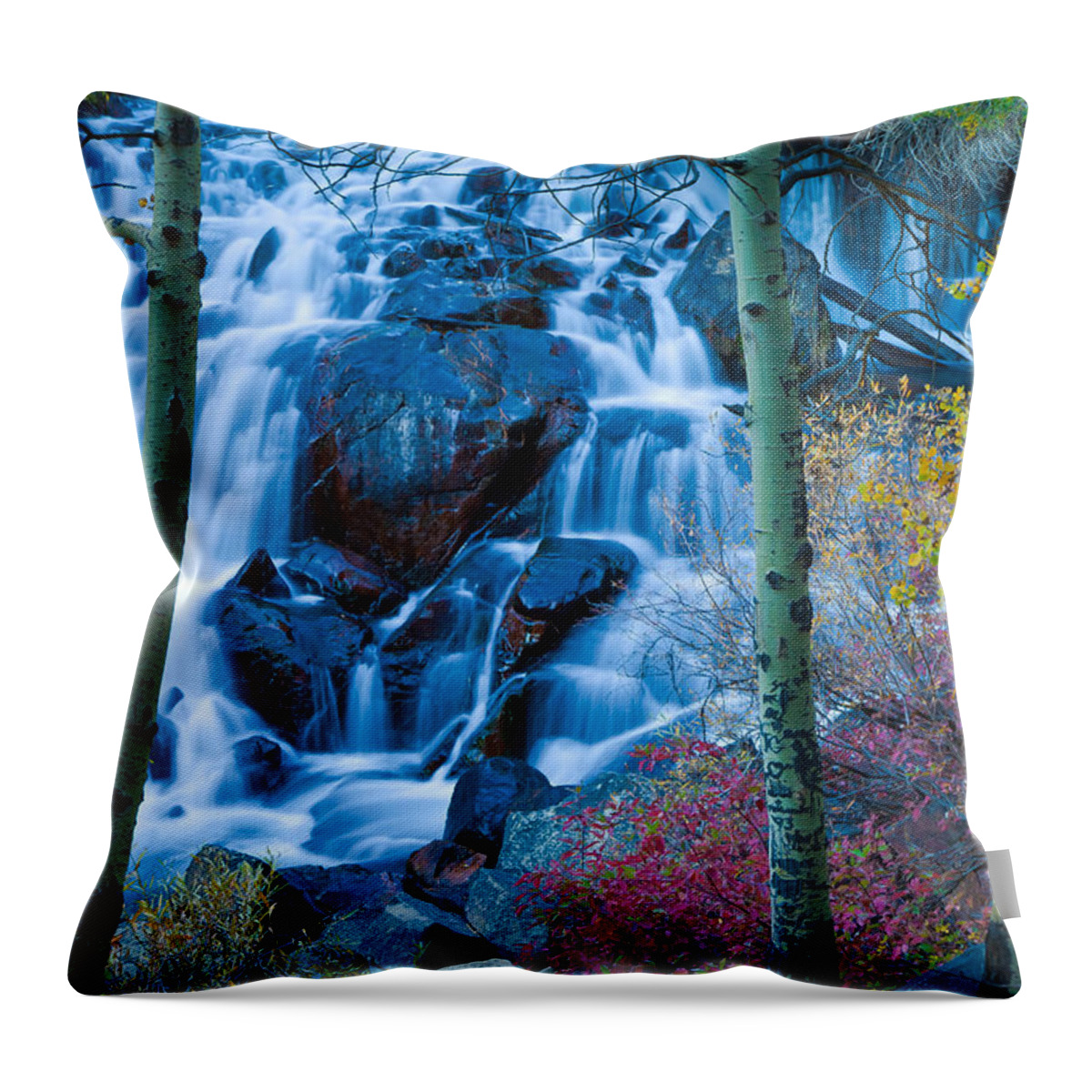 Nature Throw Pillow featuring the photograph Enchanted by Jonathan Nguyen