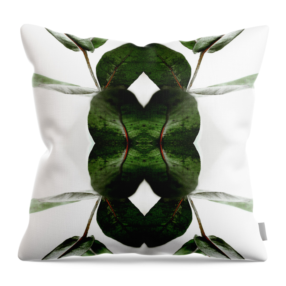Tranquility Throw Pillow featuring the photograph Eucalyptus Leaves by Silvia Otte