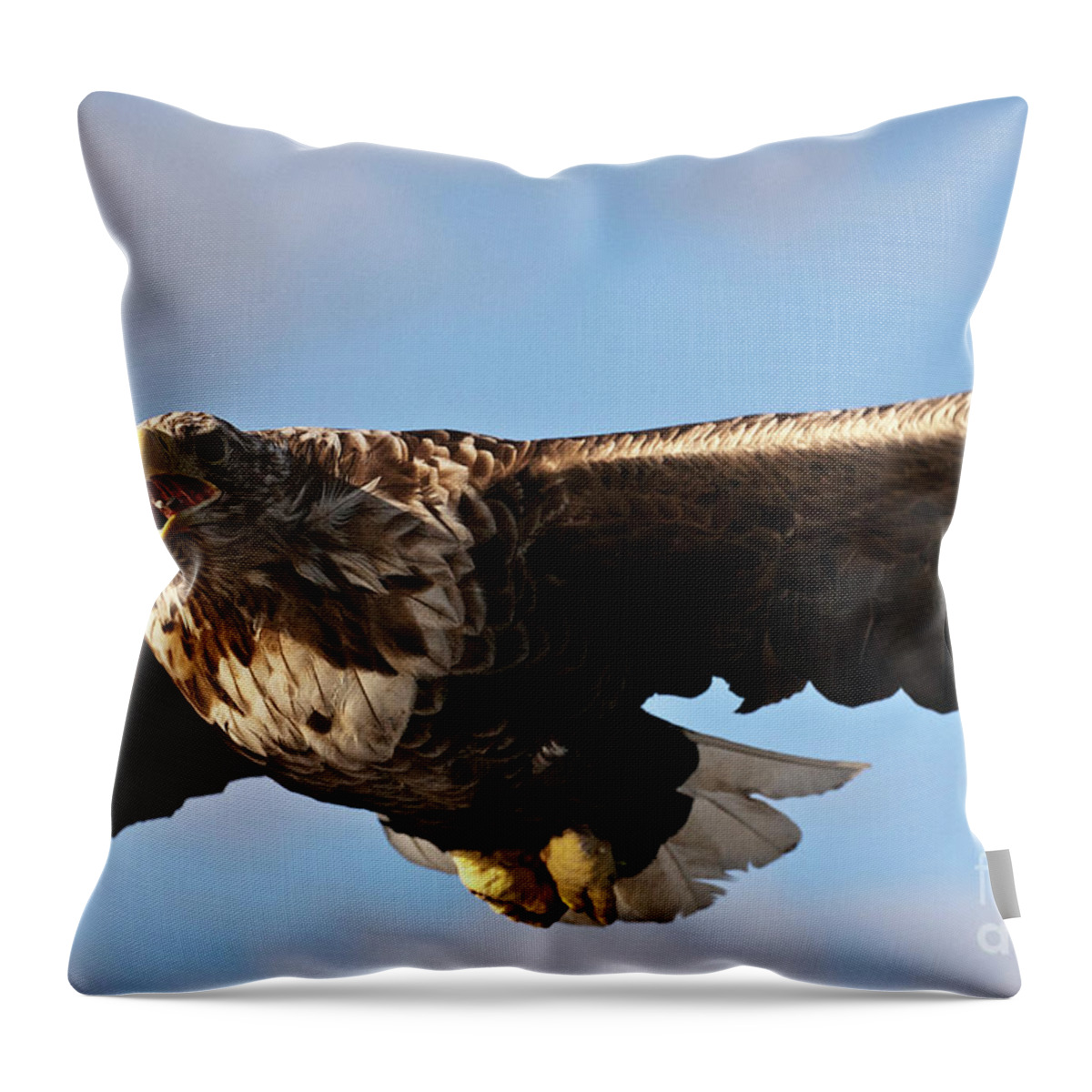 White_tailed Eagle Throw Pillow featuring the photograph European Flying Sea Eagle 1 by Heiko Koehrer-Wagner