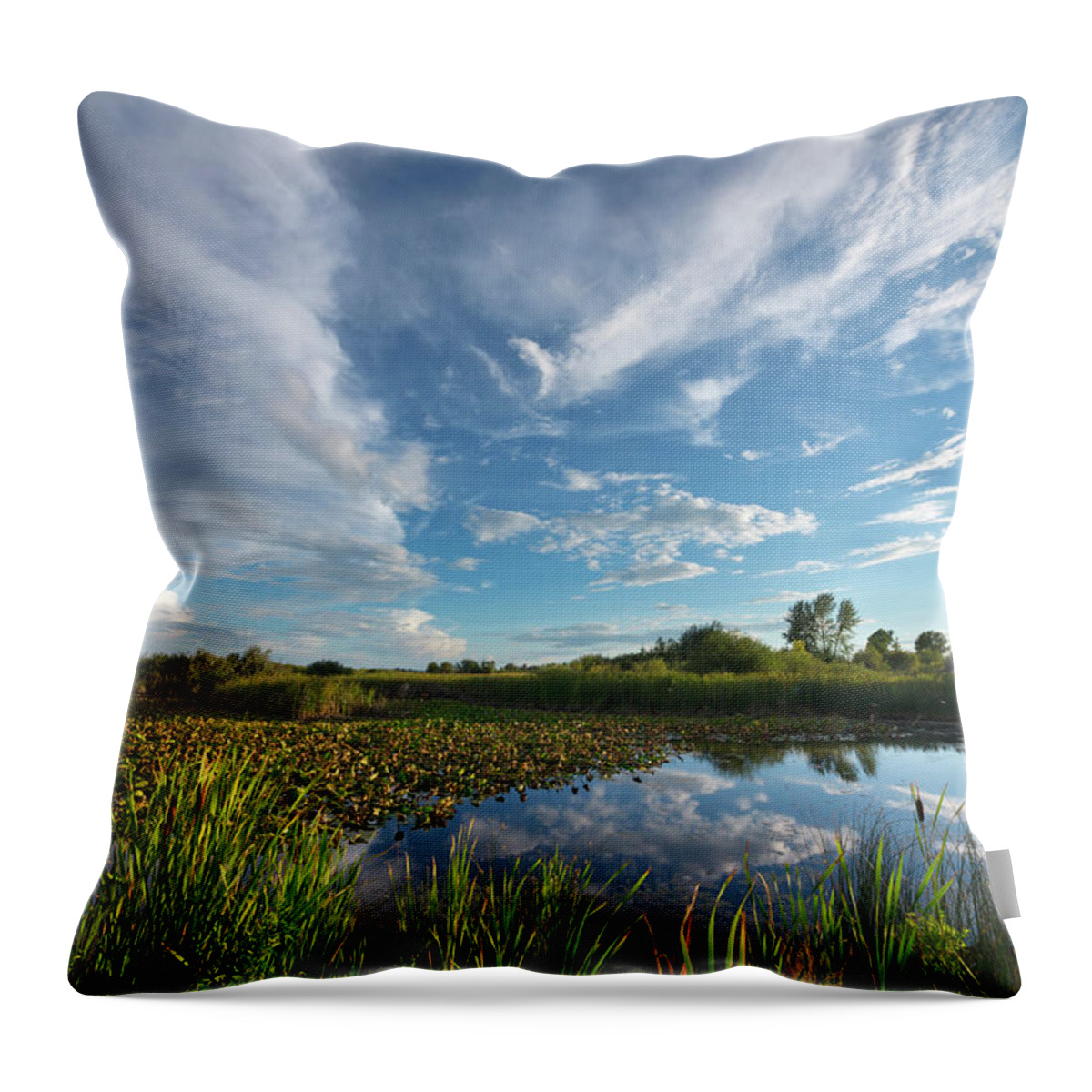 00559203 Throw Pillow featuring the photograph Clouds In the Snake River by Yva Momatiuk John Eastcott