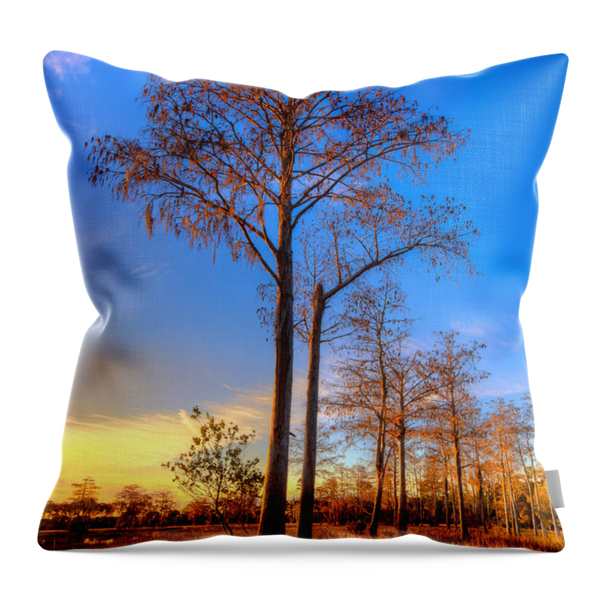 Clouds Throw Pillow featuring the photograph Everglades at Sunset by Debra and Dave Vanderlaan