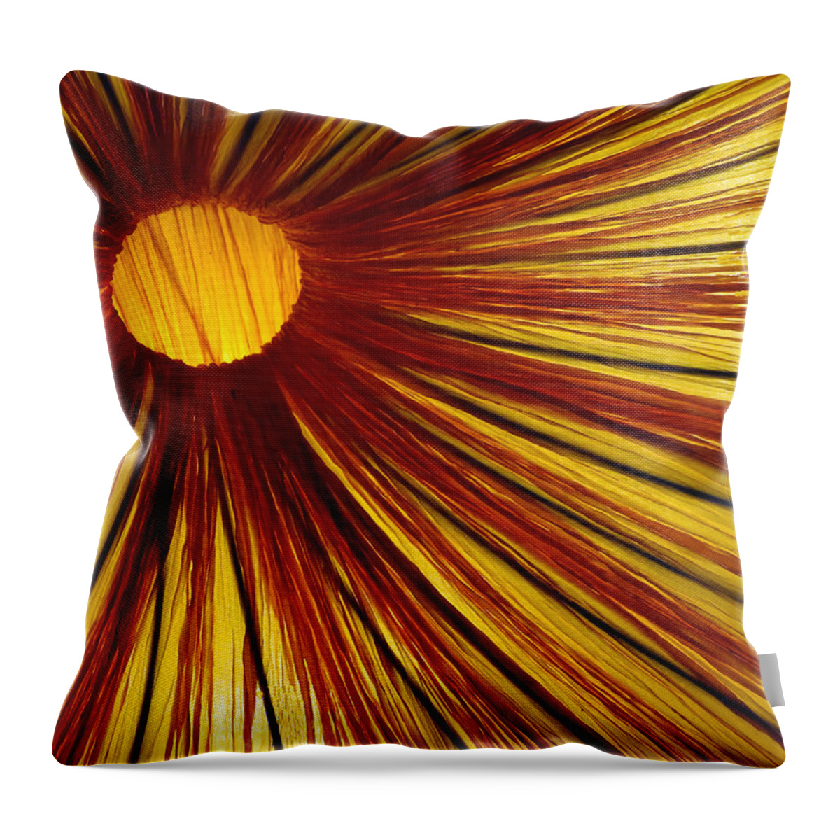 Abstract Throw Pillow featuring the photograph Exploding Sun by Rick Locke - Out of the Corner of My Eye