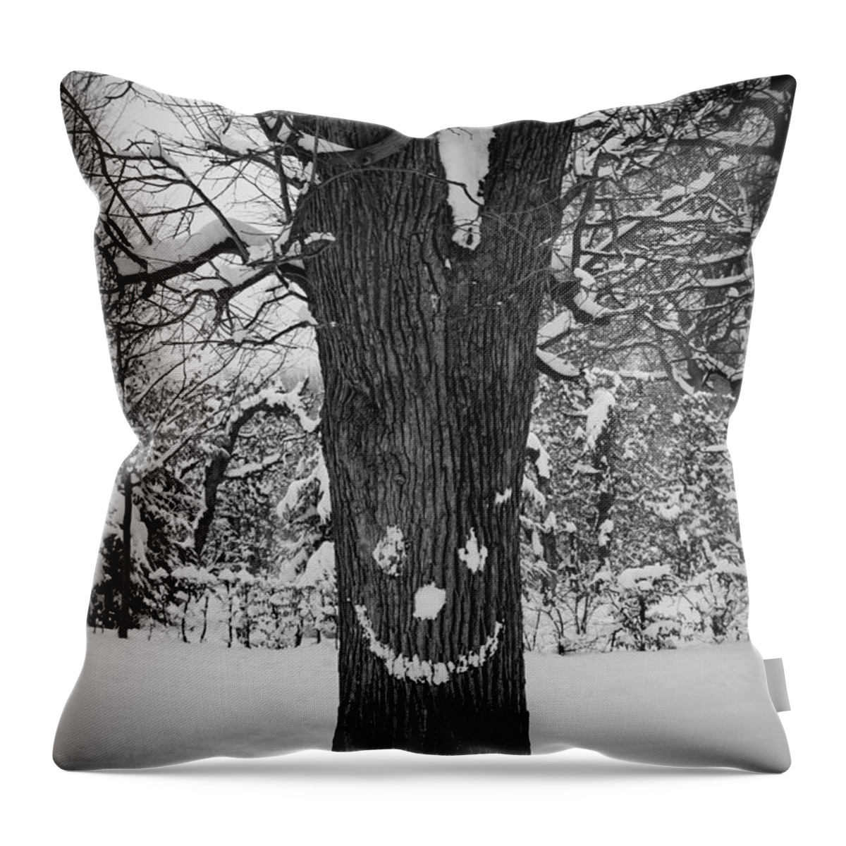 Winter Throw Pillow featuring the photograph Face Of The Winter by Andreas Berthold