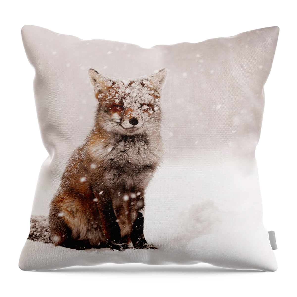 Fox Throw Pillow featuring the photograph Fairytale Fox _ Red Fox in a Snow Storm by Roeselien Raimond