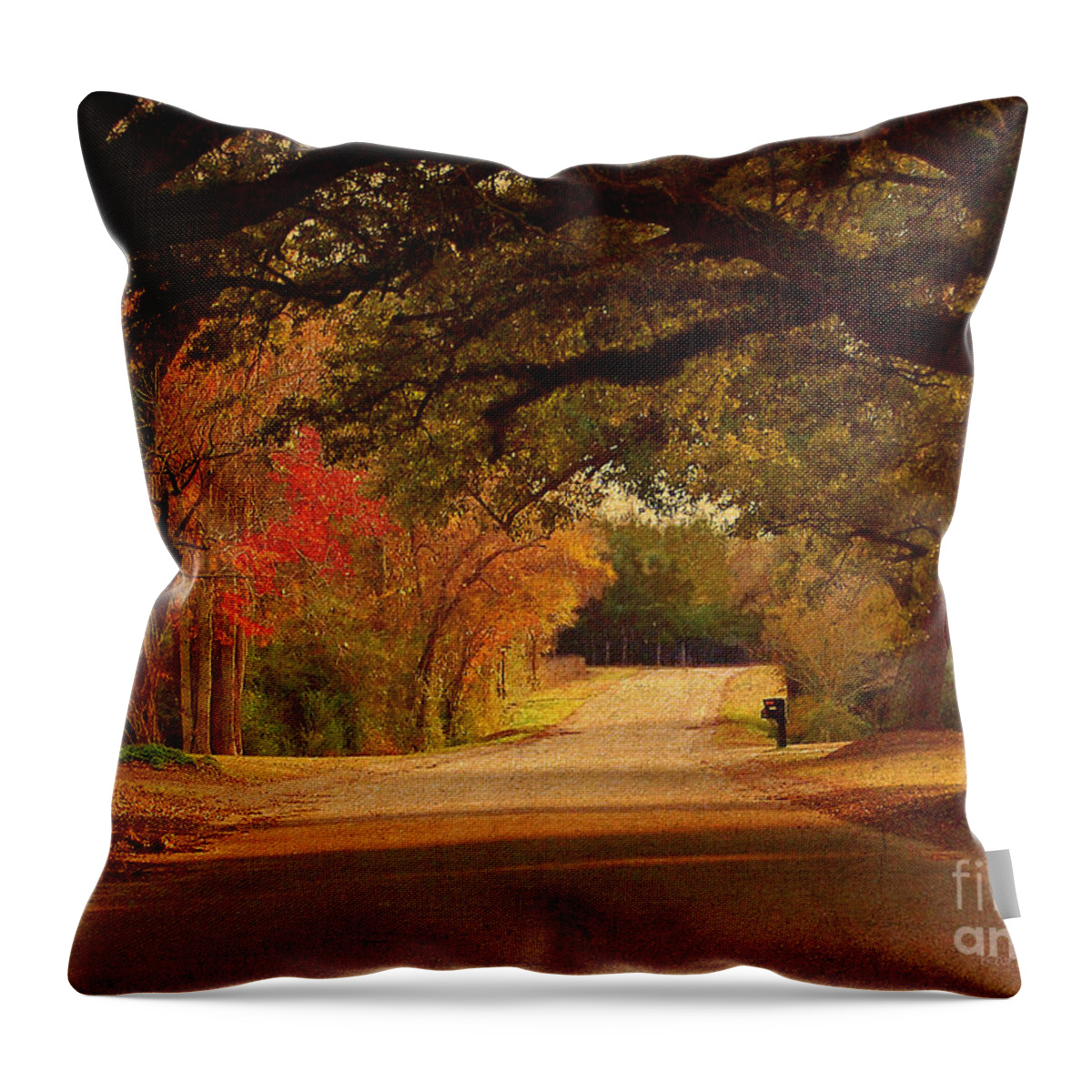 Fall Throw Pillow featuring the photograph Fall Along A Country Road by Kathy Baccari