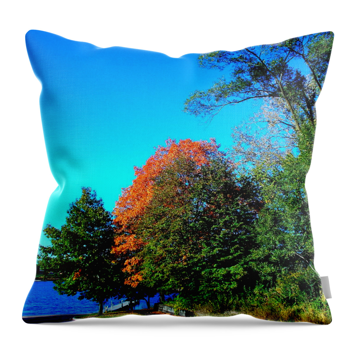 Fall At The Docks Throw Pillow featuring the photograph Fall at the Docks by Darren Robinson