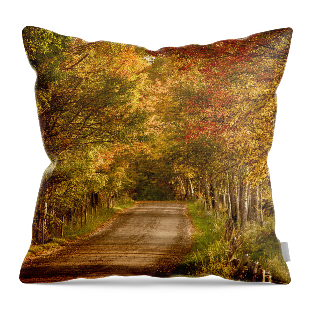 Autumn Foliage New England Throw Pillow featuring the photograph Fall color along a Peacham Vermont backroad by Jeff Folger