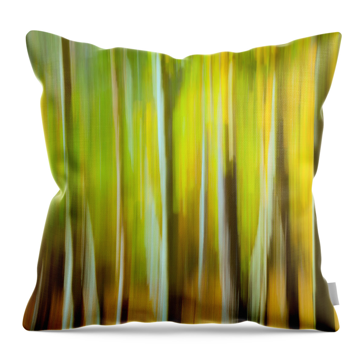 Fall Throw Pillow featuring the photograph Fall Colors Abstract by Jonathan Nguyen