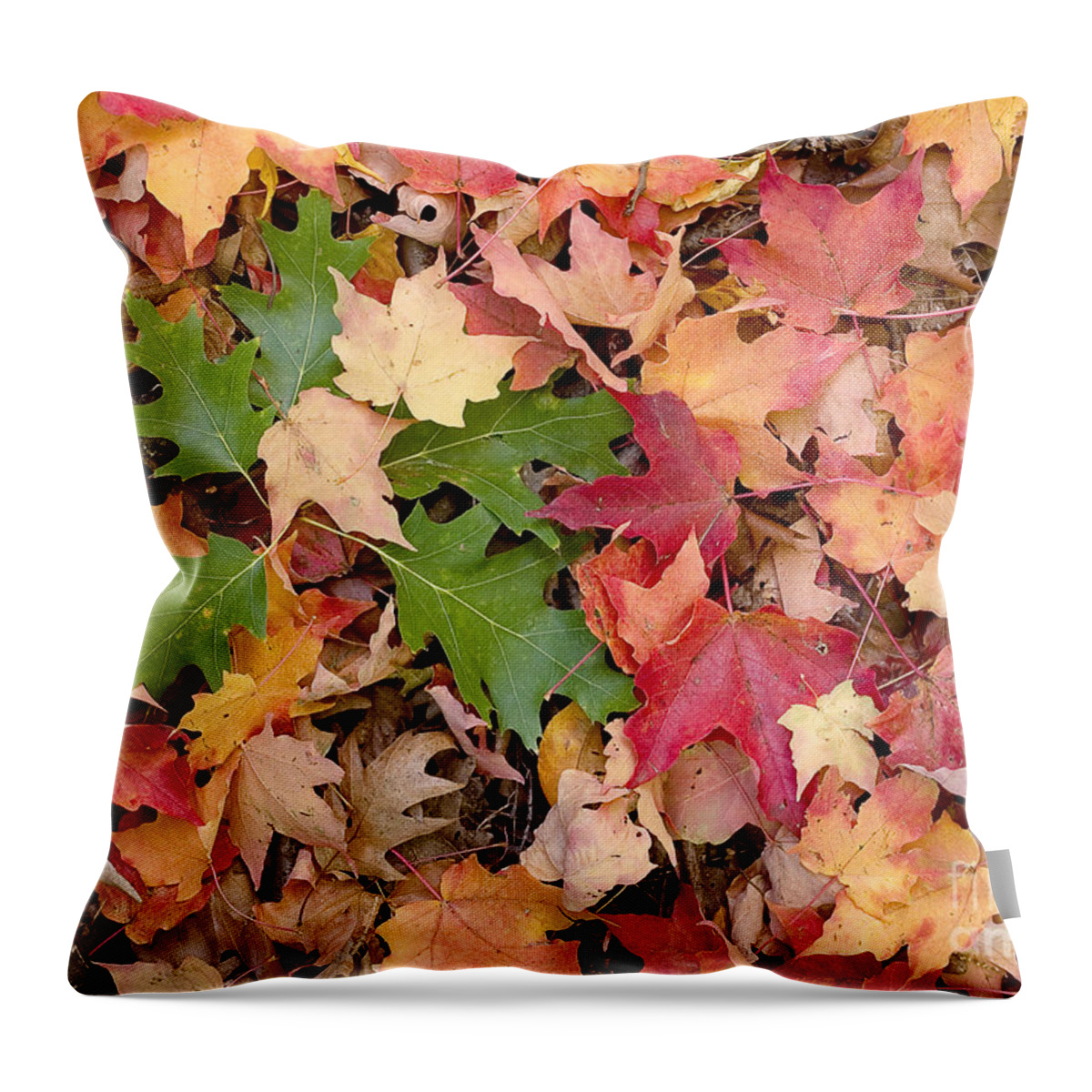 Arboretum Throw Pillow featuring the photograph Fall colors by Steven Ralser