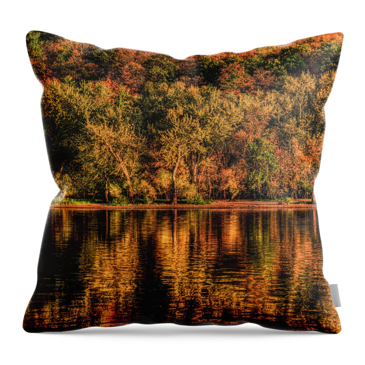 St. Croix River Throw Pillow featuring the photograph Fall Foliage by Adam Mateo Fierro