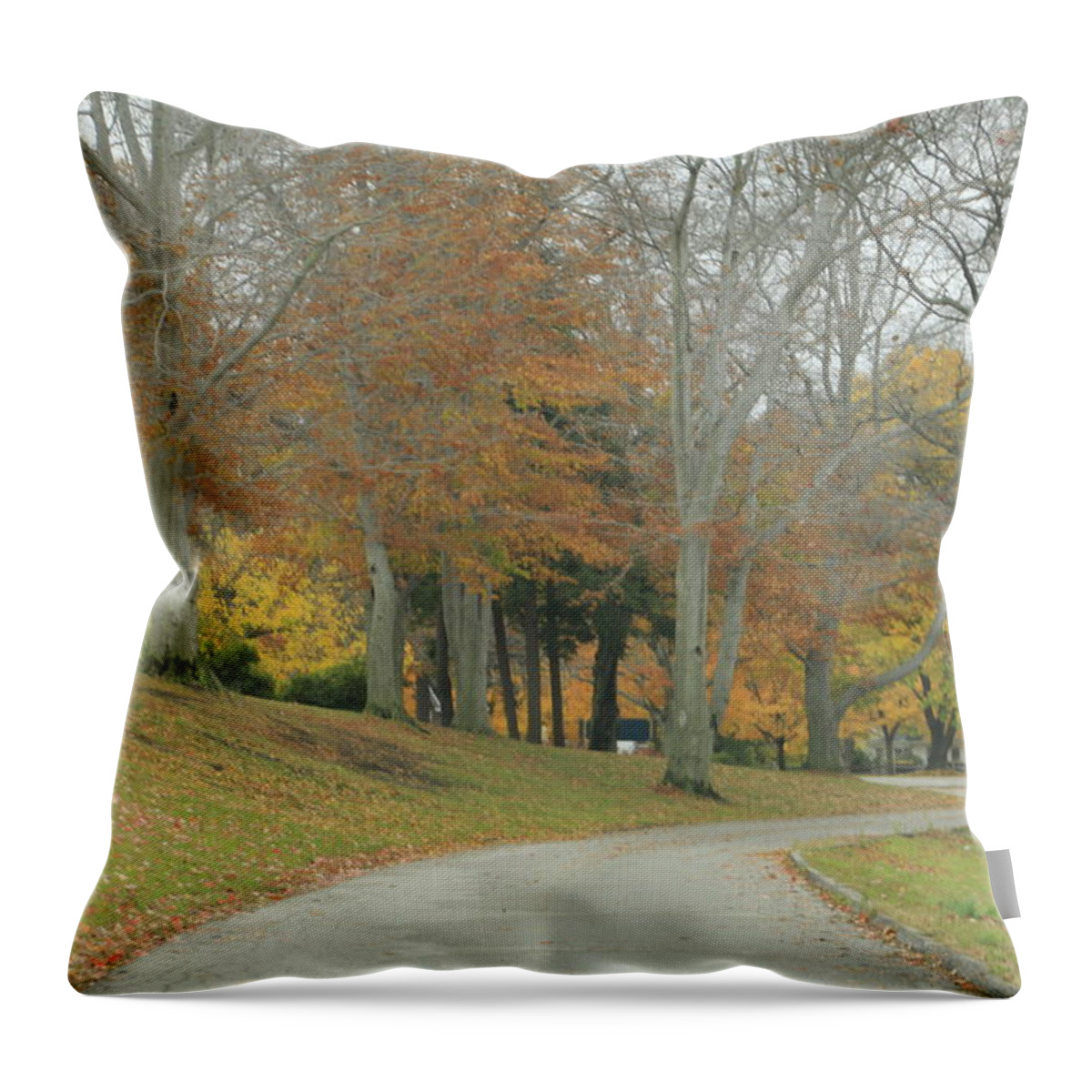 Fall Throw Pillow featuring the photograph Autumn Day in NE Ohio by Valerie Collins