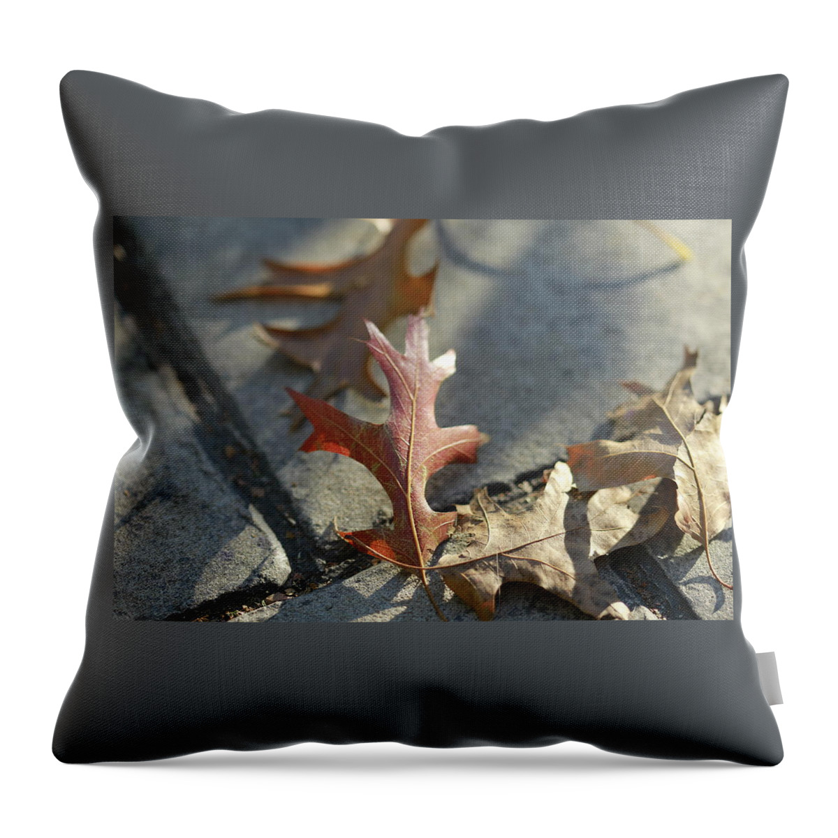 Fall Throw Pillow featuring the photograph Autumn Oak Leaves on sidewalk by Valerie Collins