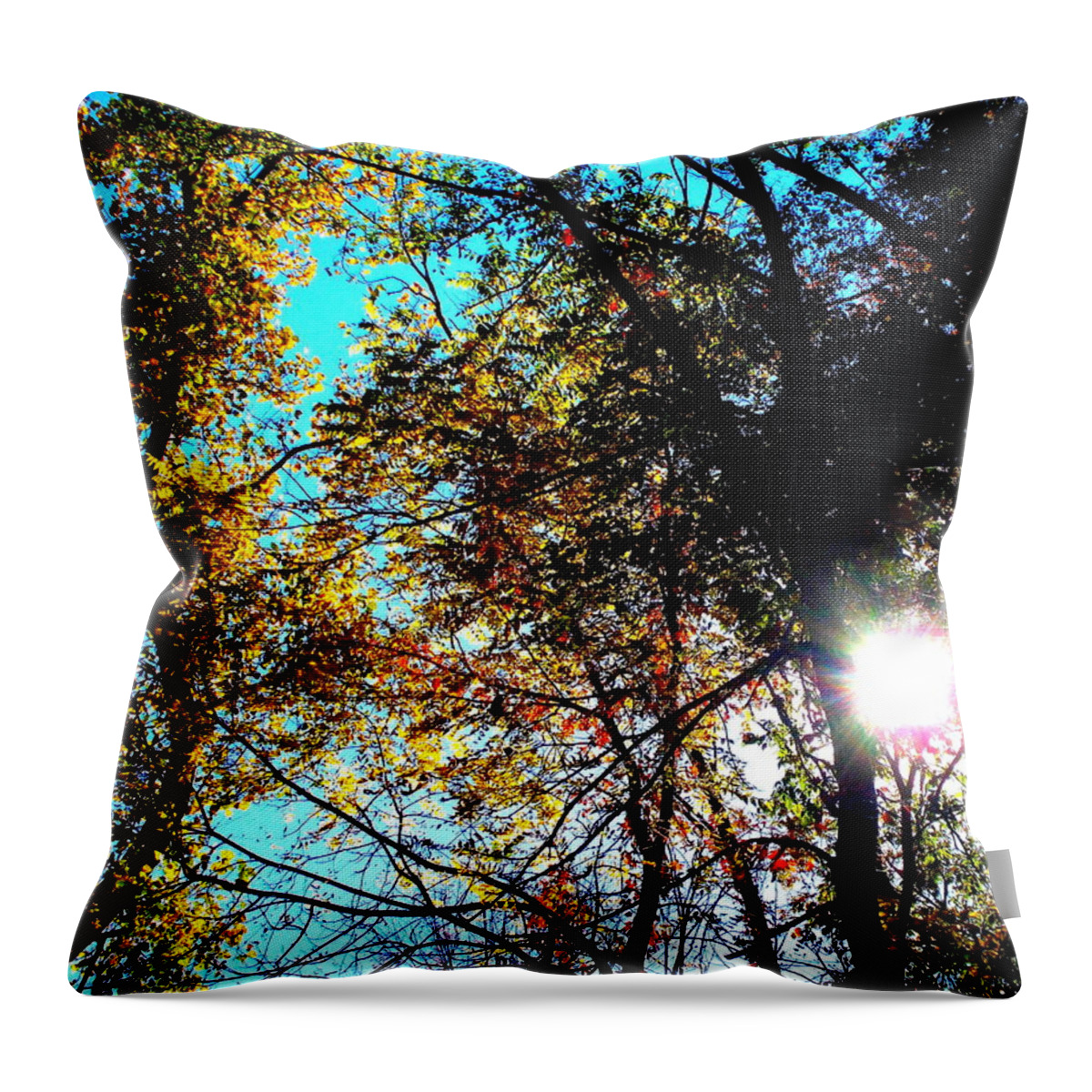 Falling Into Color Throw Pillow featuring the photograph Falling into Color by Darren Robinson