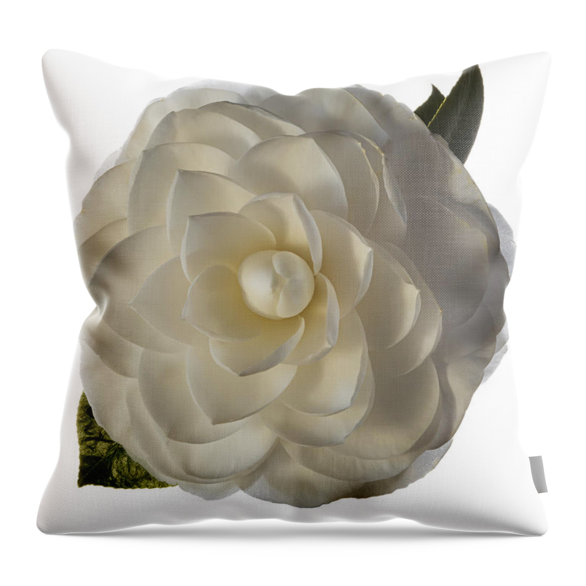 Flower Throw Pillow featuring the photograph Fancy White Camellia by Endre Balogh