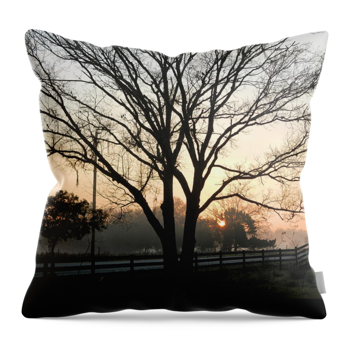Sunrise Throw Pillow featuring the photograph Farm Sunrise by George Pedro