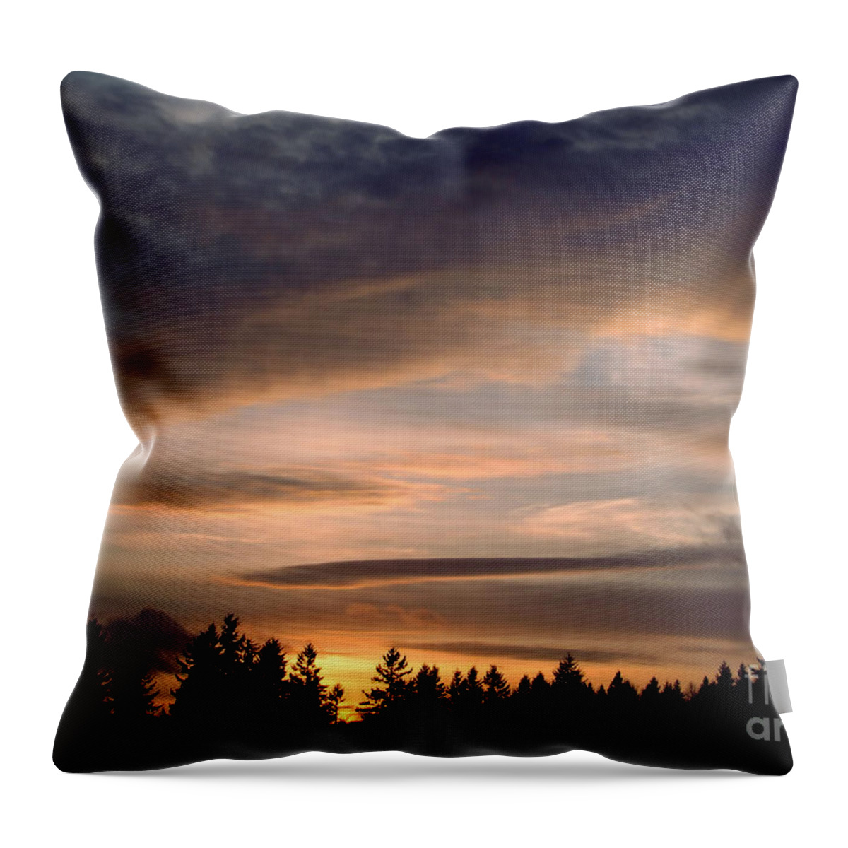 Landscape Throw Pillow featuring the photograph February Sky by Rory Siegel