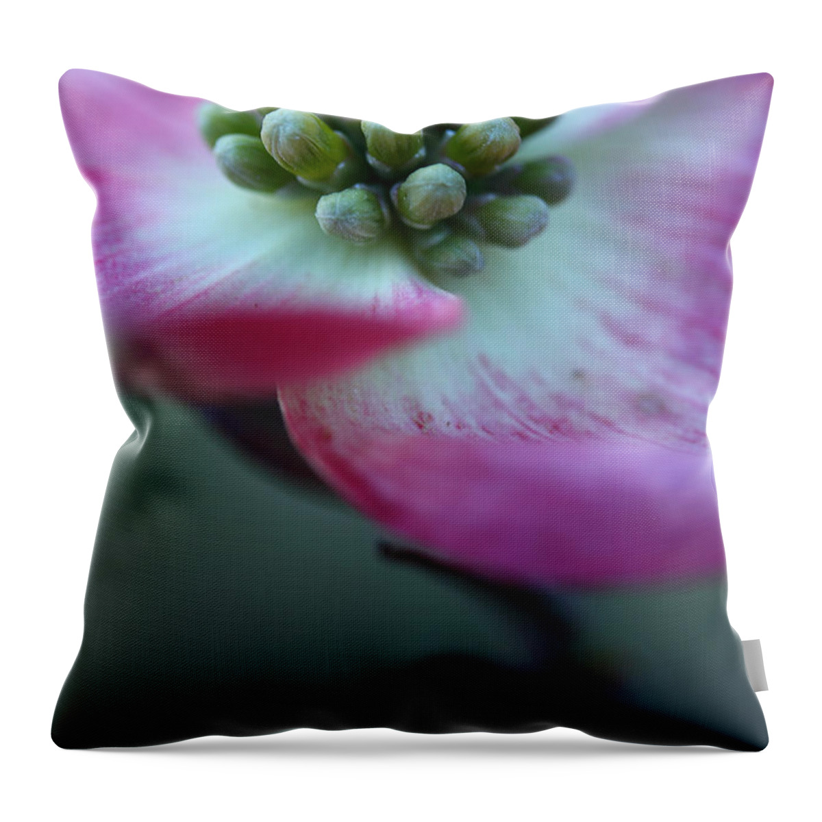 Dogwood Throw Pillow featuring the photograph Feeling Good by Michael Eingle