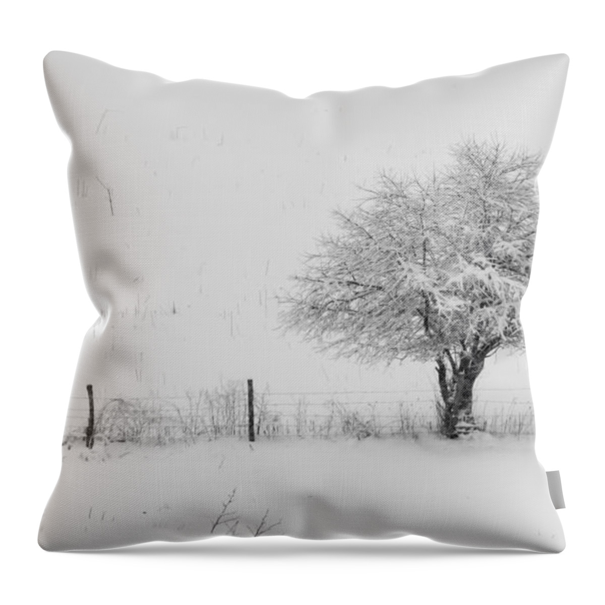 Fence Throw Pillow featuring the photograph Fence line in the Wintertime by Holden The Moment