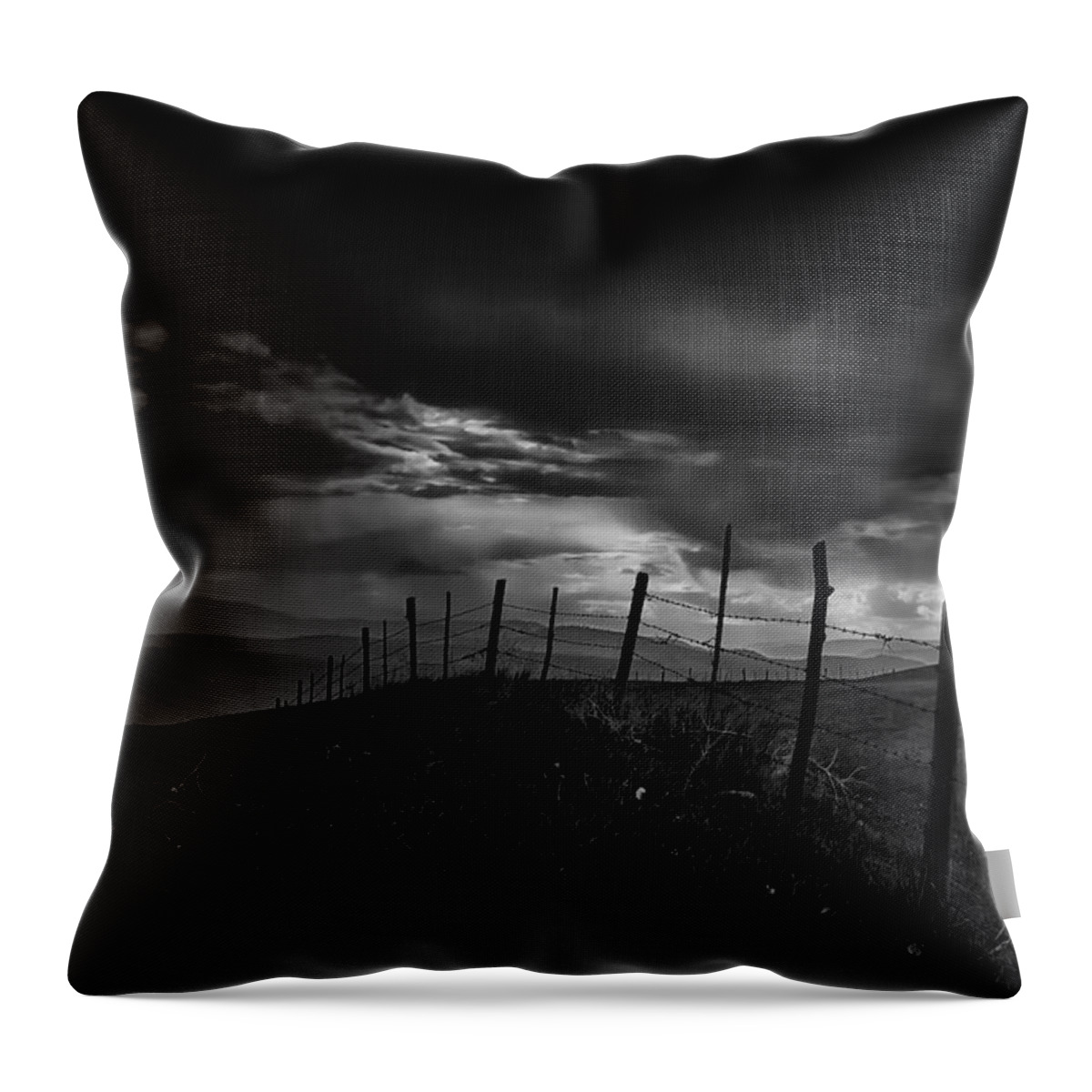 Black And White Throw Pillow featuring the photograph Fence Line by Theresa Tahara
