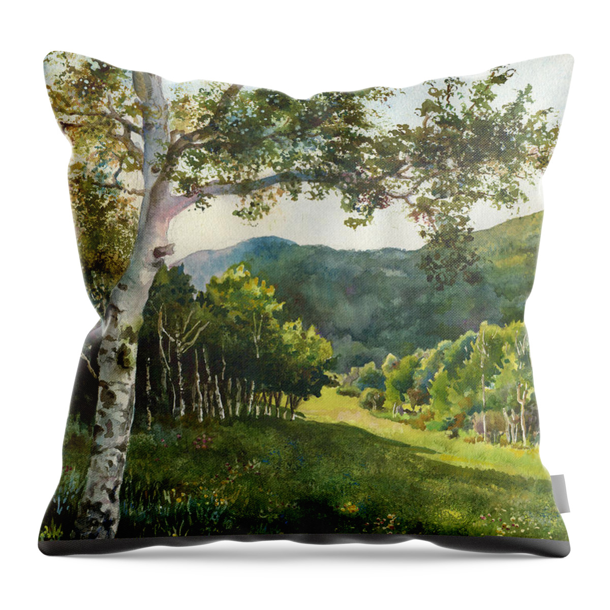 Colorado Landscape Painting Throw Pillow featuring the painting Field of Light at Caribou Ranch by Anne Gifford