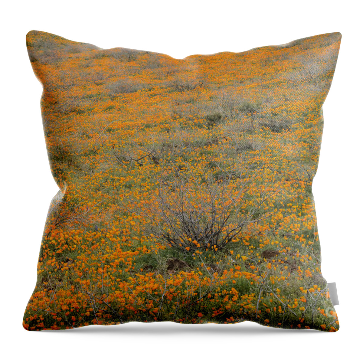 Poppies Throw Pillow featuring the photograph Field of Poppies by Tamara Becker