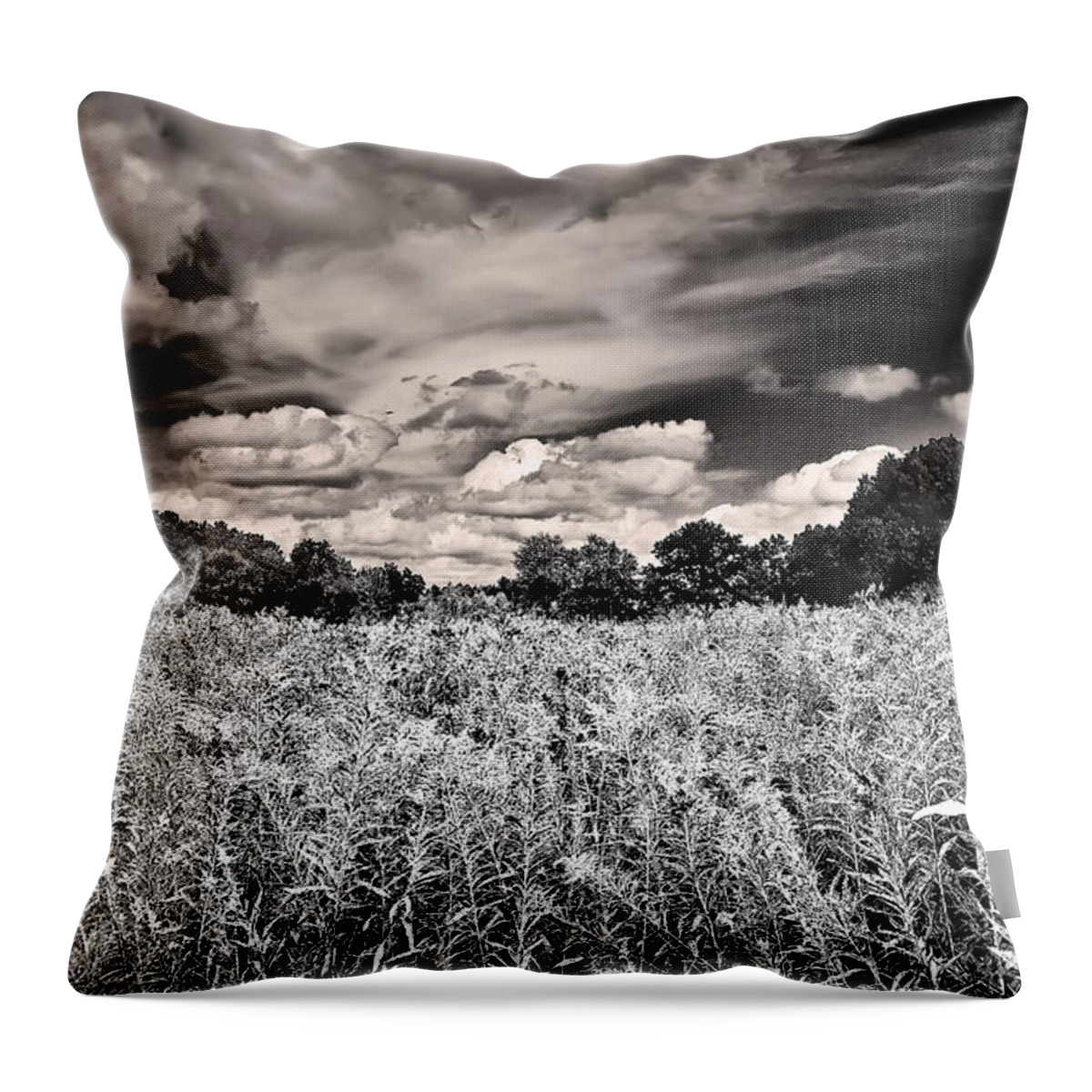 Black And White Throw Pillow featuring the photograph Fields of Gold and Clouds by Mitchell R Grosky