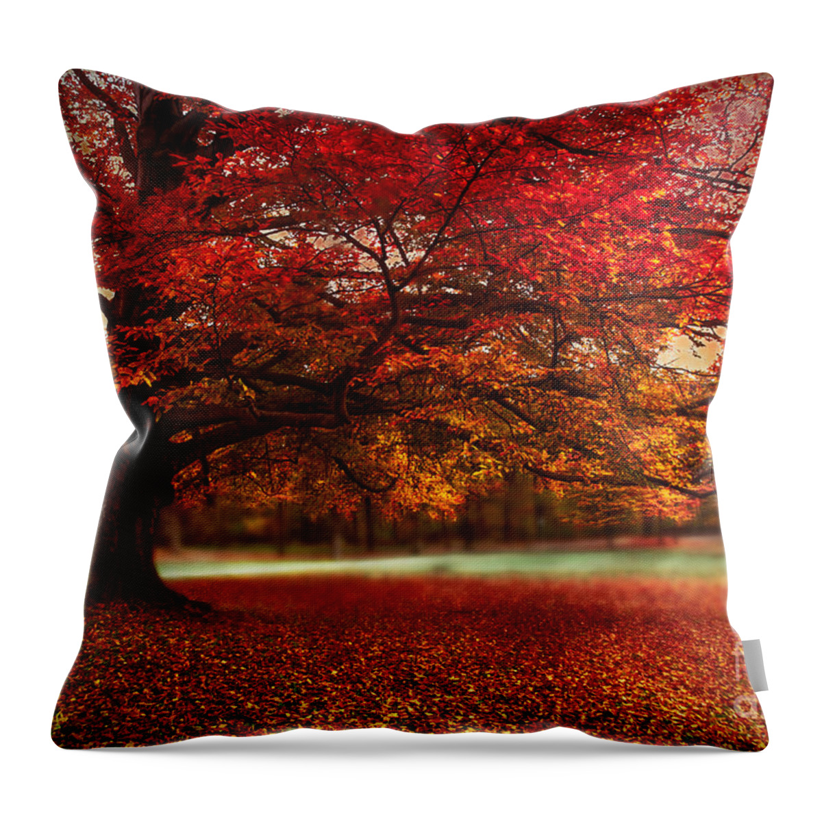Autumn Throw Pillow featuring the photograph Finest Fall by Hannes Cmarits