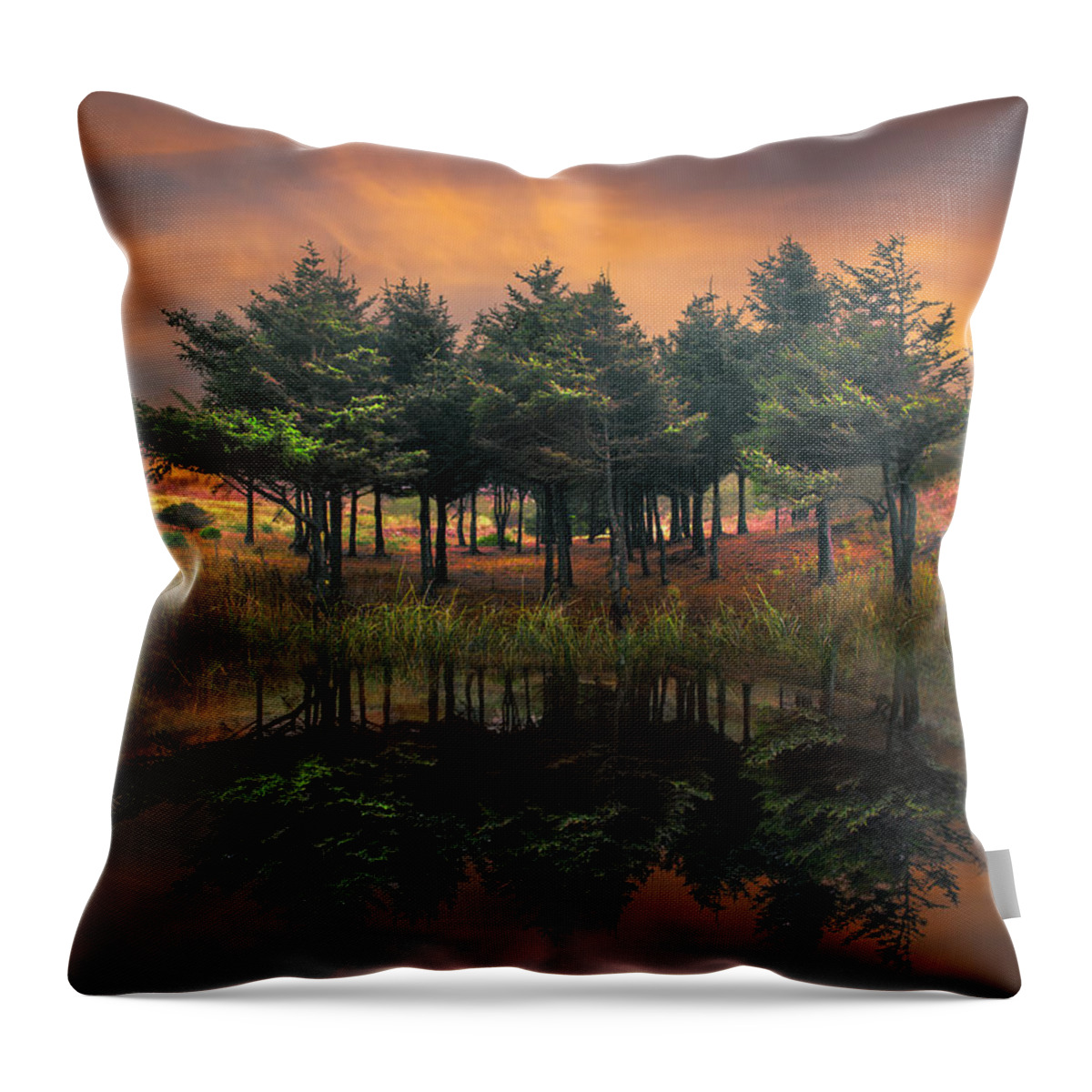 Appalachia Throw Pillow featuring the photograph Fire by Debra and Dave Vanderlaan