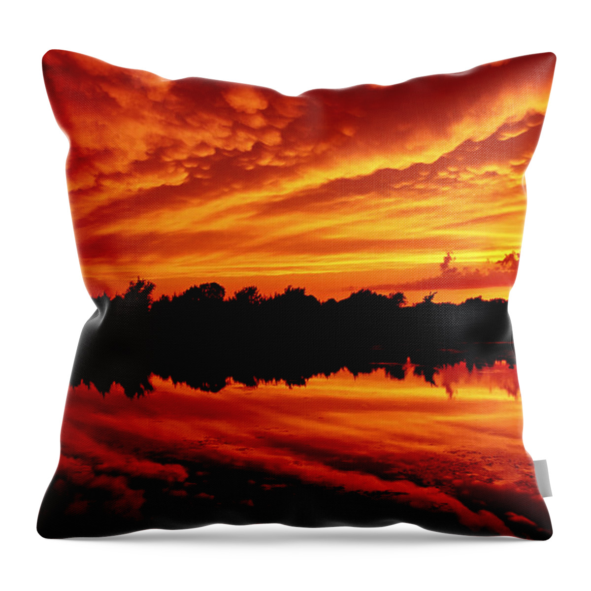 Sunset Throw Pillow featuring the photograph Fire in the Sky by Jason Politte