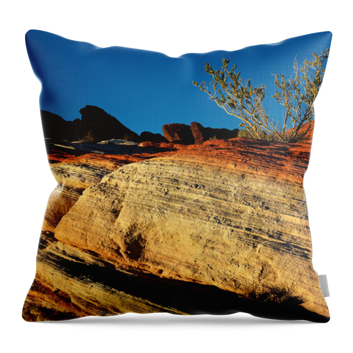 Desert Throw Pillow featuring the photograph Fire Lines by Chad Dutson