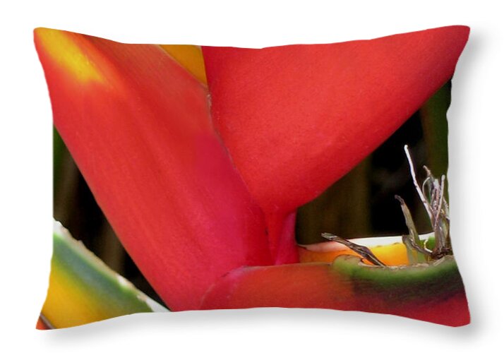 Heliconia Bihai Throw Pillow featuring the photograph Firebird by James Temple