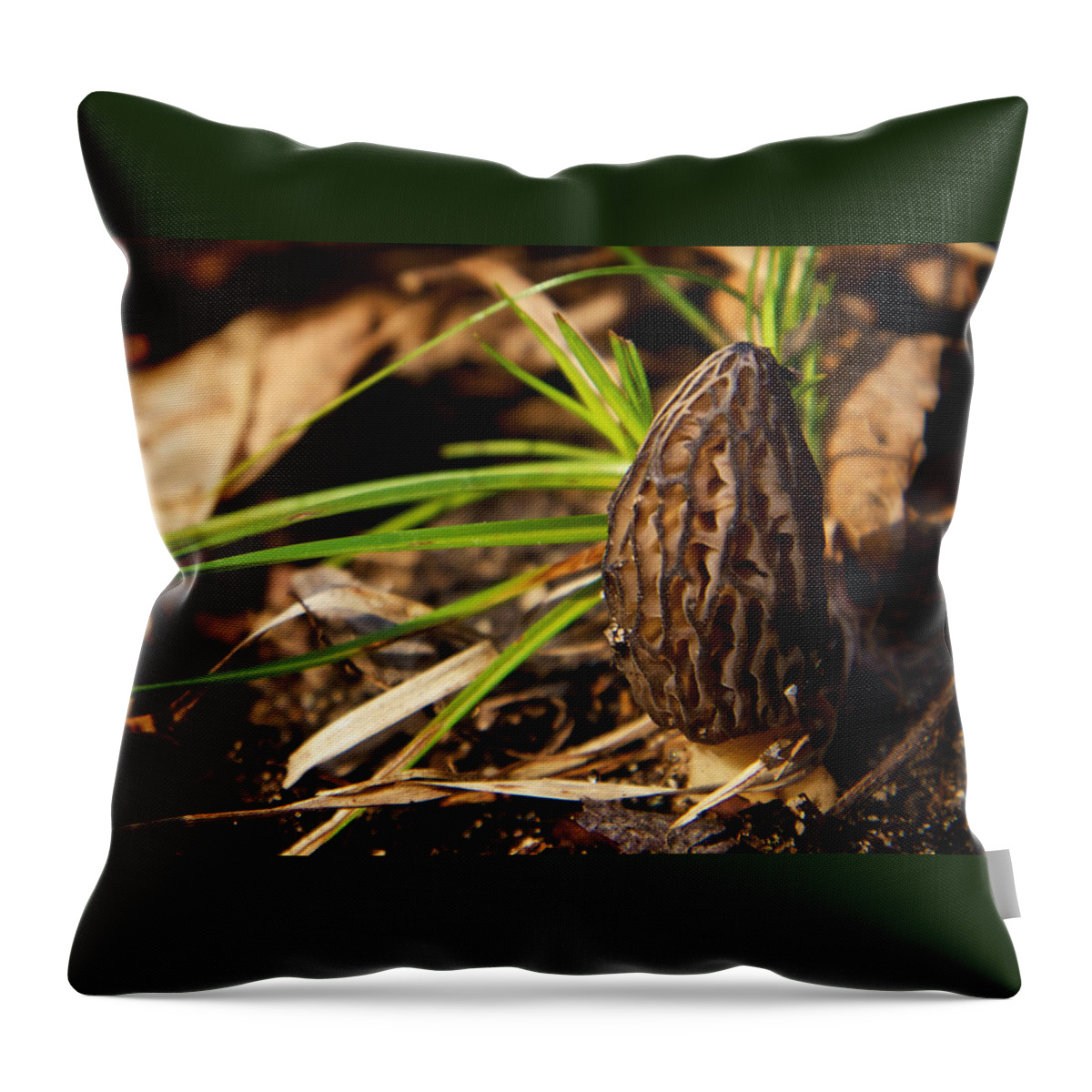 Morel Throw Pillow featuring the photograph First Morel Mushroom of Spring by Mary Lee Dereske