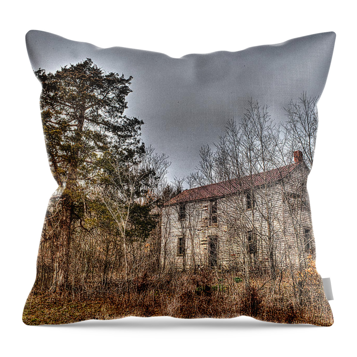 Fixer Upper Throw Pillow featuring the photograph Fixer Upper by William Fields