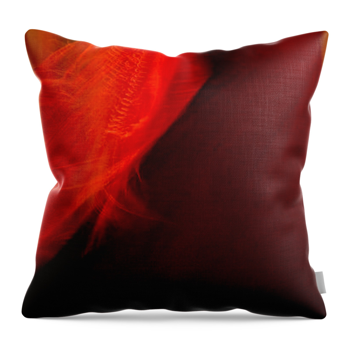 Andalusia Throw Pillow featuring the photograph Flamenco Series 10 by Catherine Sobredo