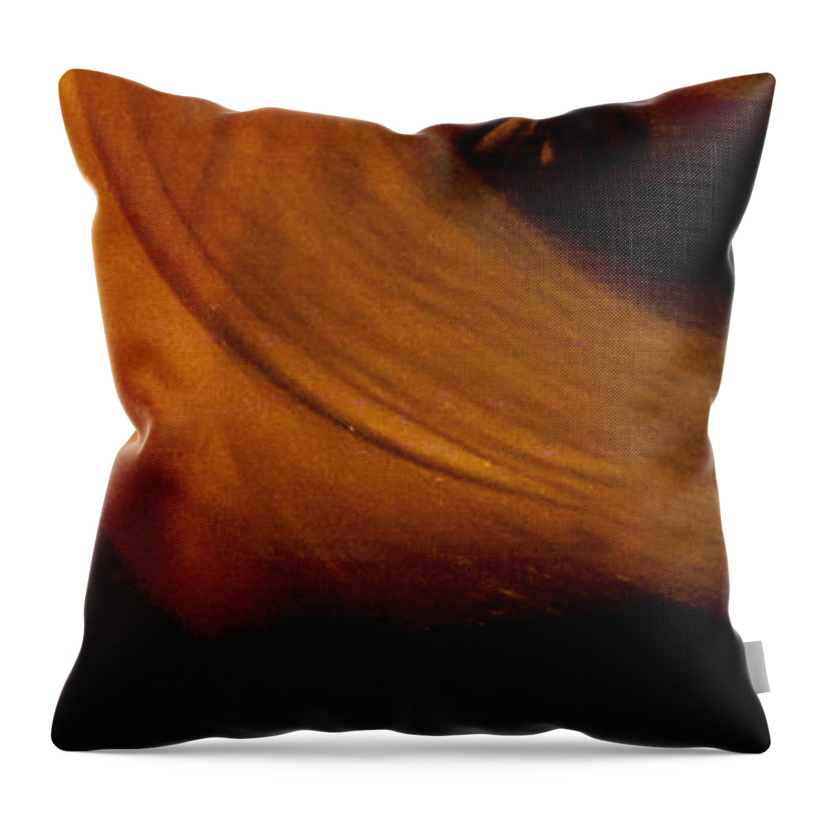 Acrilyc Prints Throw Pillow featuring the photograph Flamenco Series 16 by Catherine Sobredo