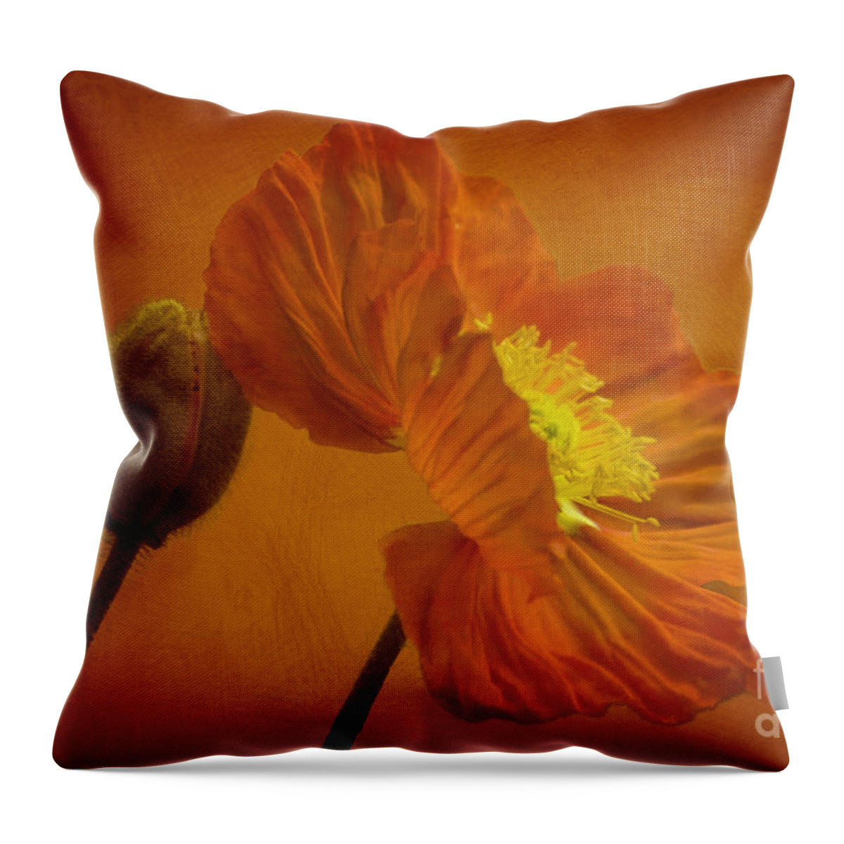 Orange Throw Pillow featuring the photograph Flaming Beauty by Heiko Koehrer-Wagner