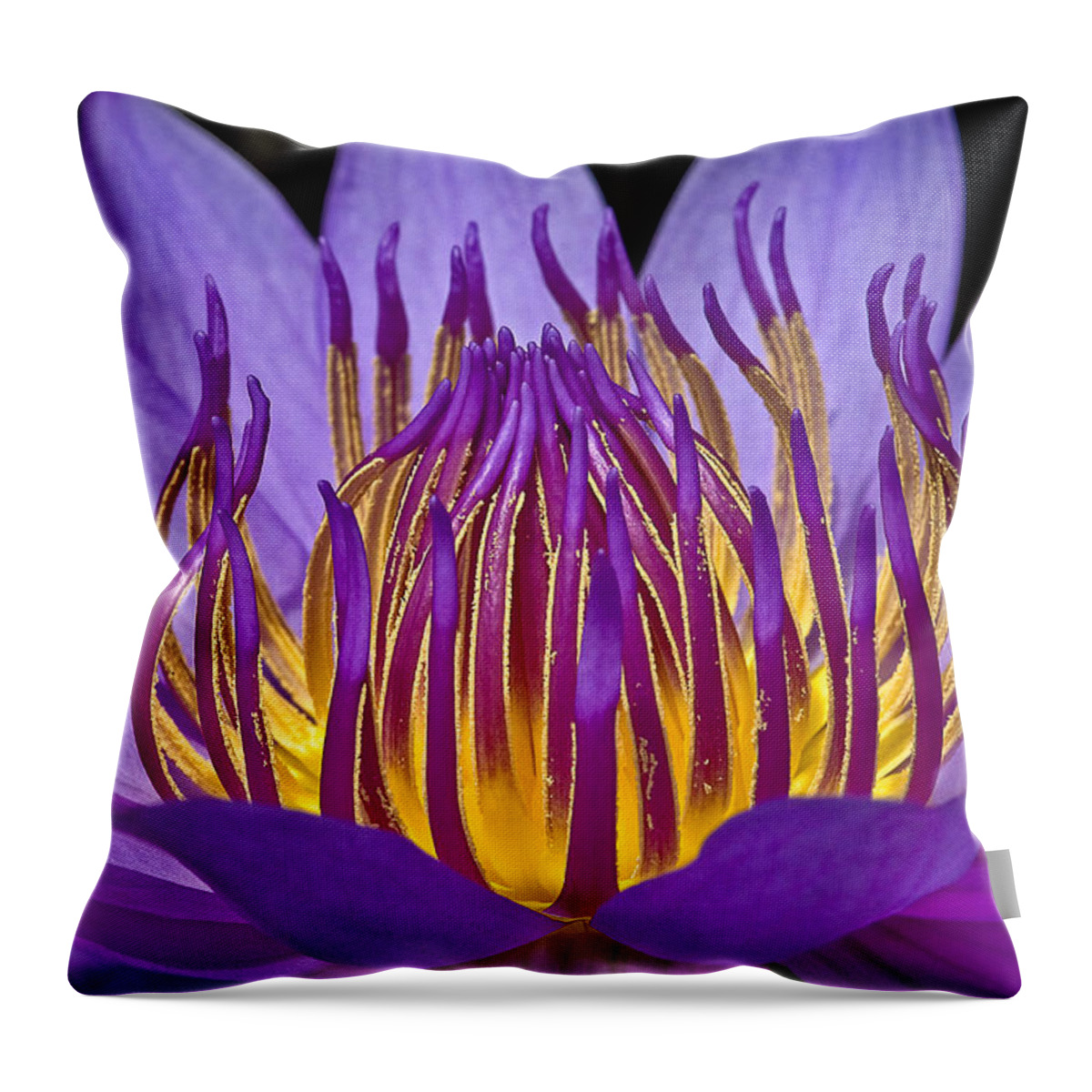 Waterlily Throw Pillow featuring the photograph Flaming Heart by Susan Candelario
