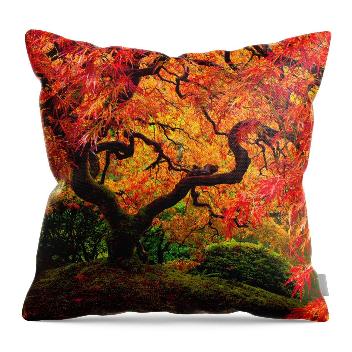 Portland Throw Pillow featuring the photograph Flaming Maple by Darren White