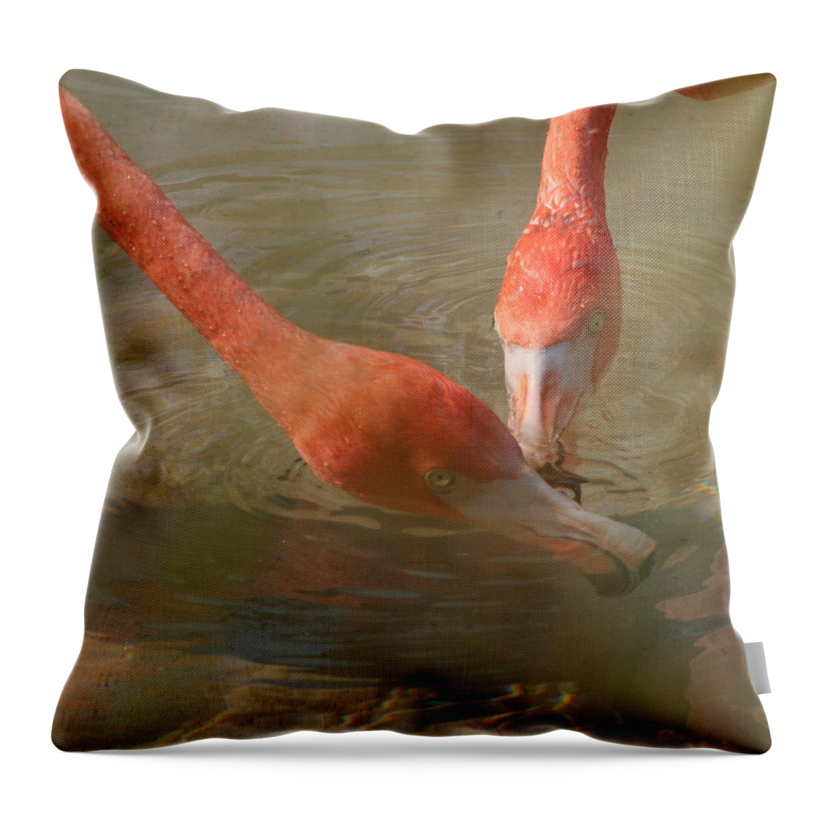 Flamingo Throw Pillow featuring the photograph A Pair of Flamingoes by Valerie Collins