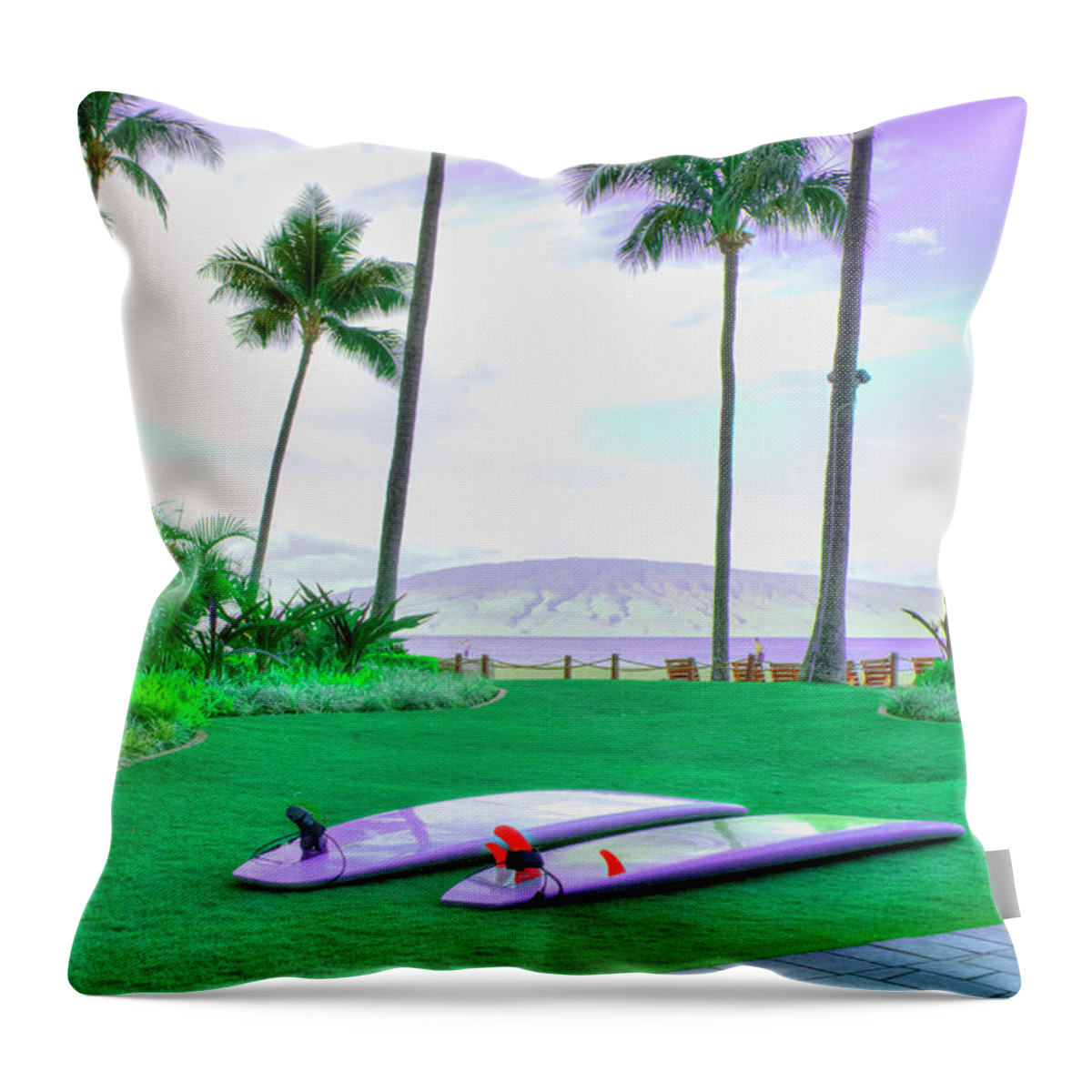 Landscape Throw Pillow featuring the photograph Flat Day by Arthur Fix