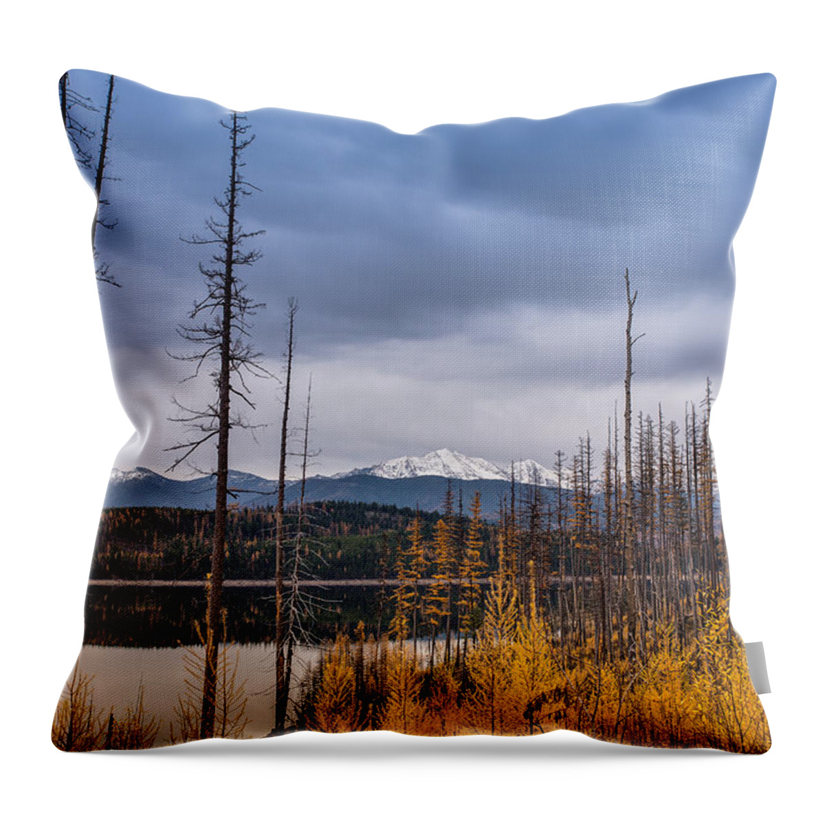 Flathead National Forest Throw Pillow featuring the photograph Flathead National Forest by Adam Mateo Fierro
