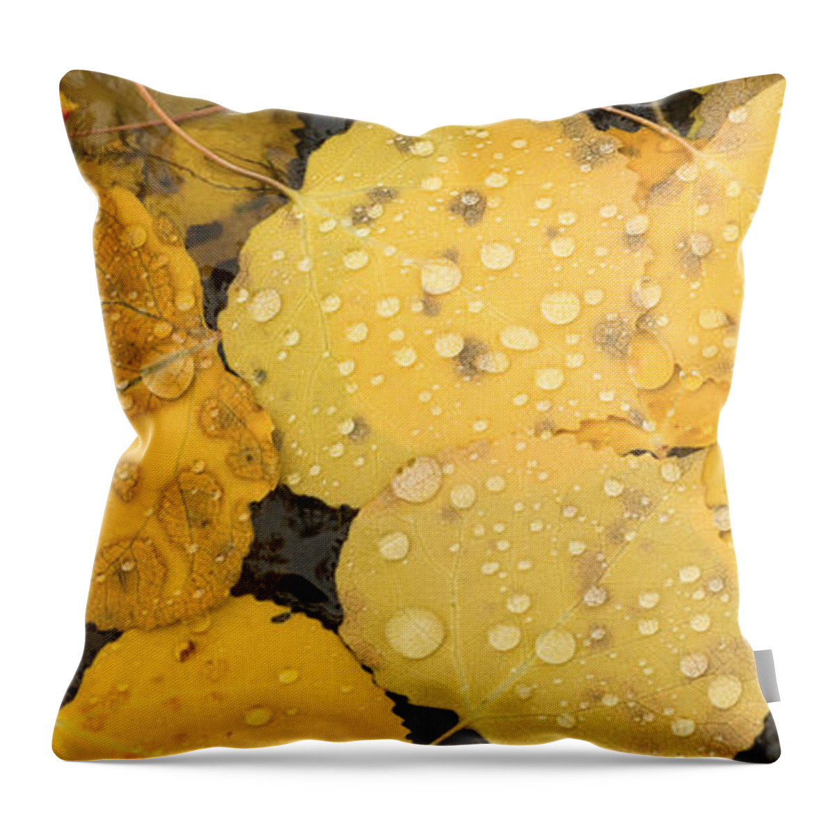 Autumn Throw Pillow featuring the photograph Floating Aspens by Joye Ardyn Durham