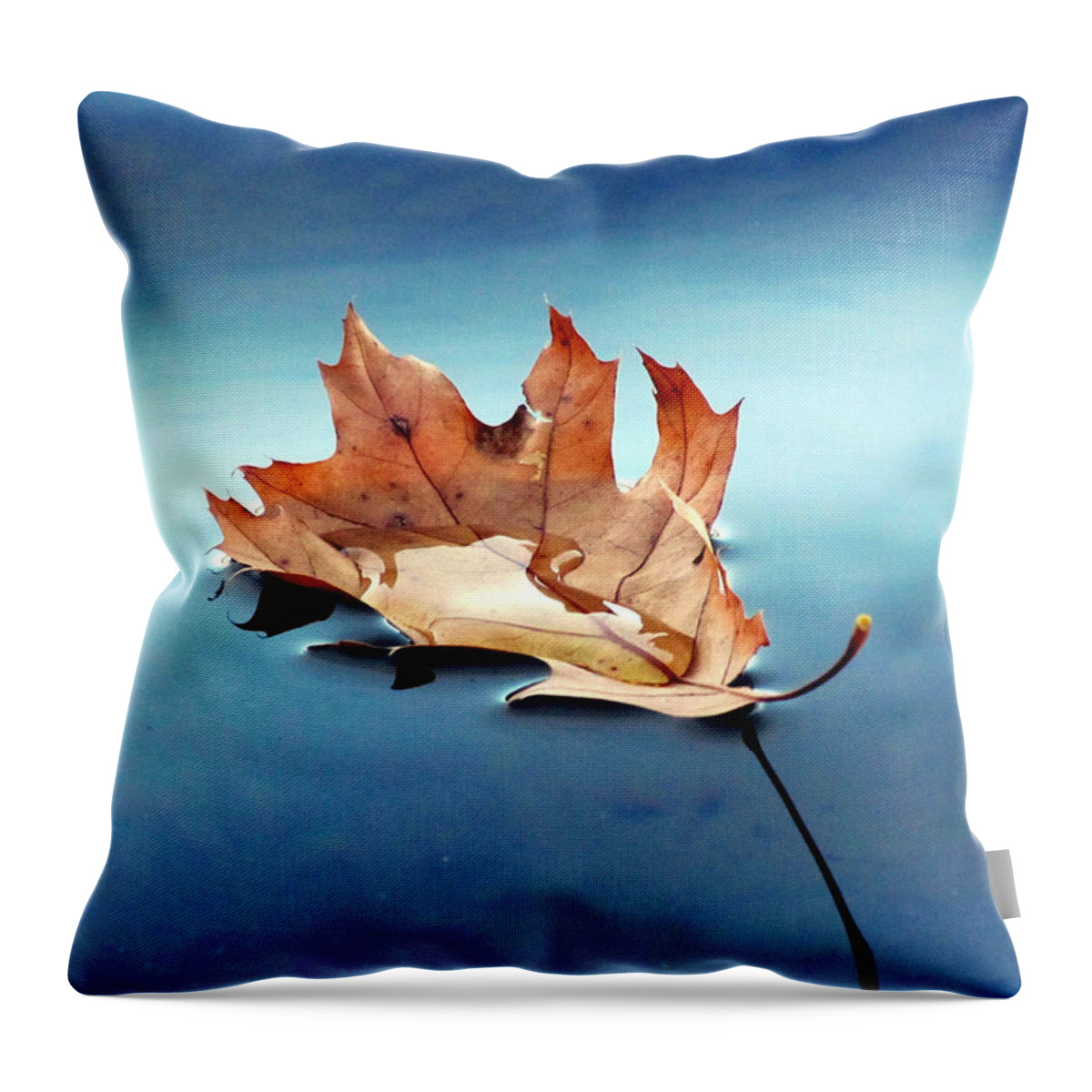 Leaf Throw Pillow featuring the photograph Floating Oak Leaf by David T Wilkinson