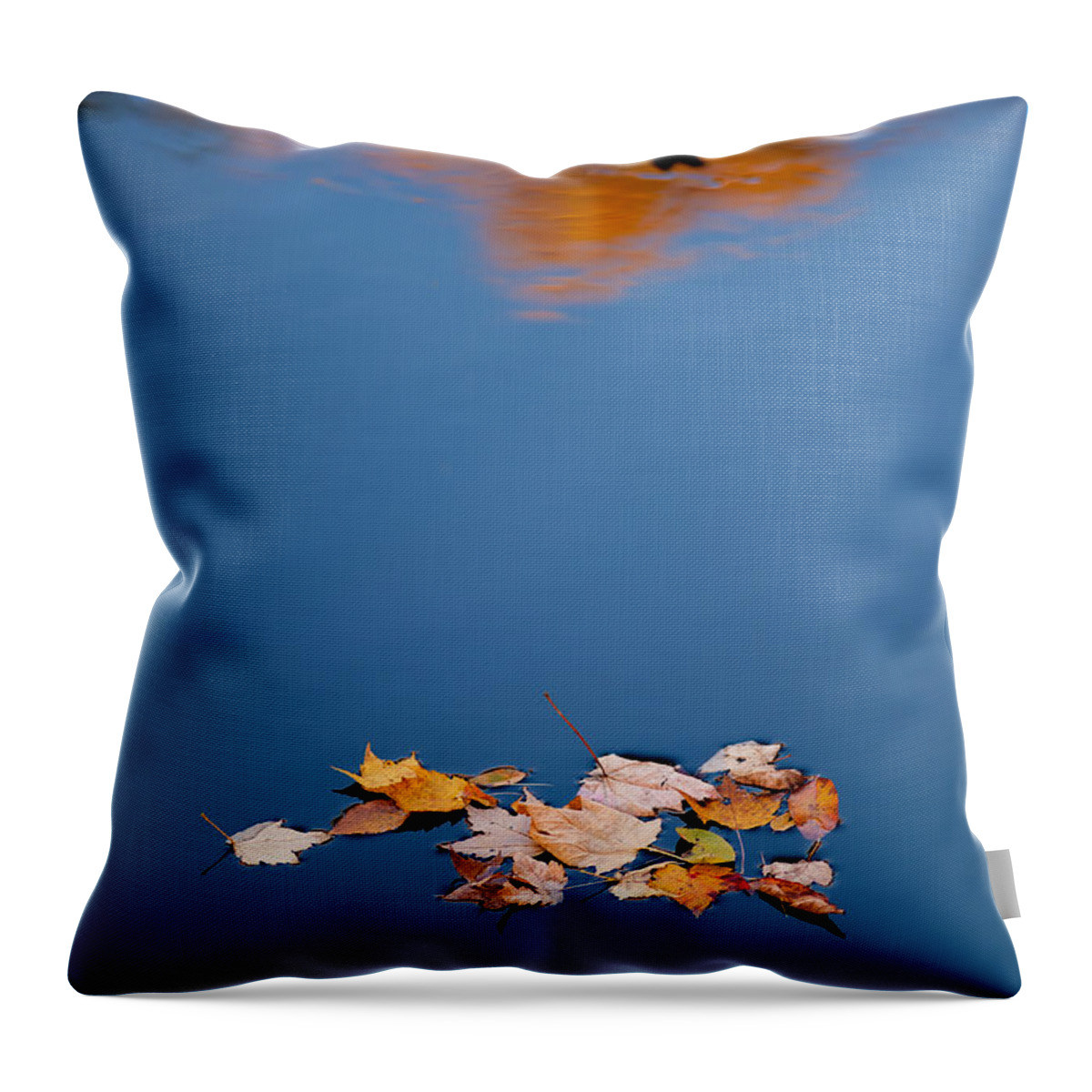 Asheville Throw Pillow featuring the photograph Floating with Friends by Joye Ardyn Durham