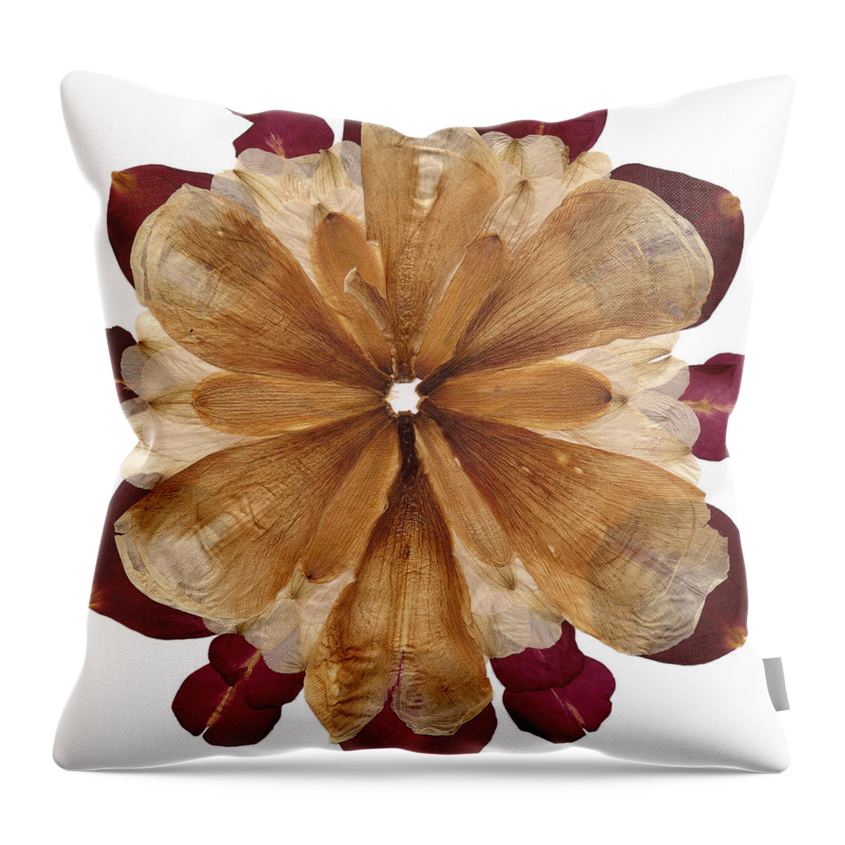 Flower Throw Pillow featuring the photograph Flower Mandala 1 by Michelle Bien